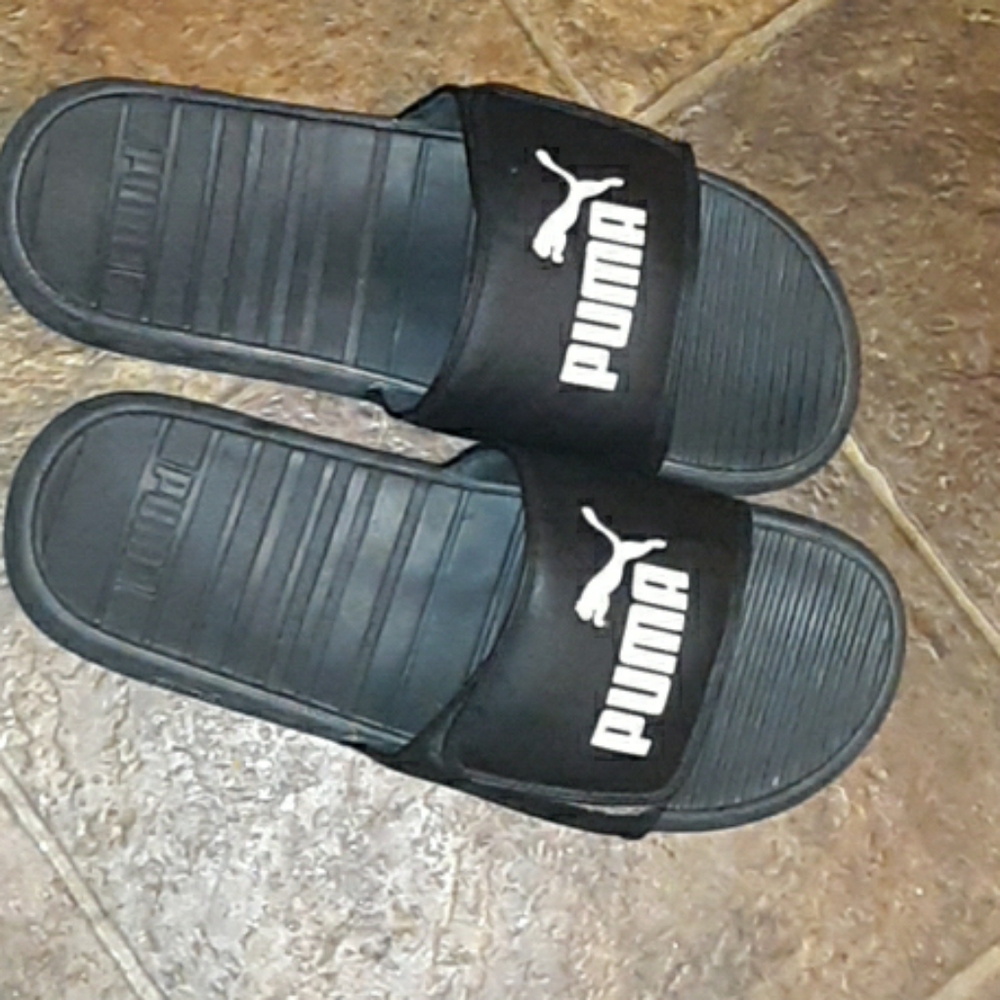 PUMA Slides